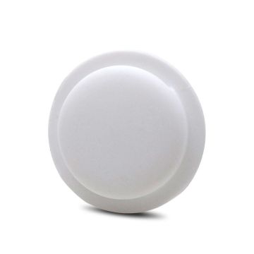 79951 Image 1