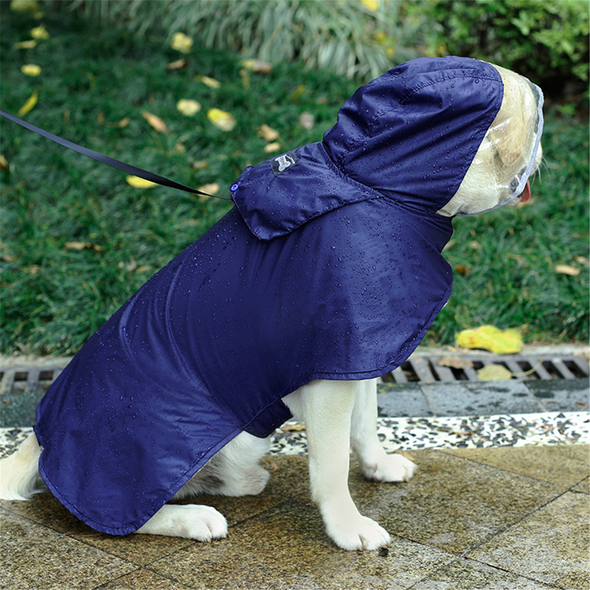 Regenjacke für Hunde ultimus.ch