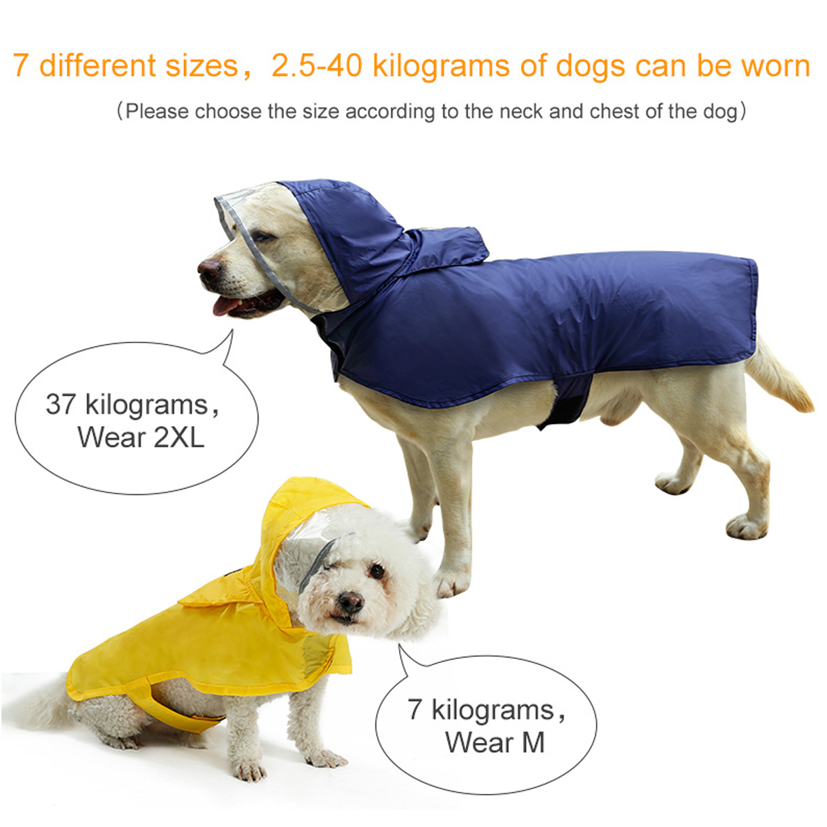 Regenjacke für Hunde ultimus.ch