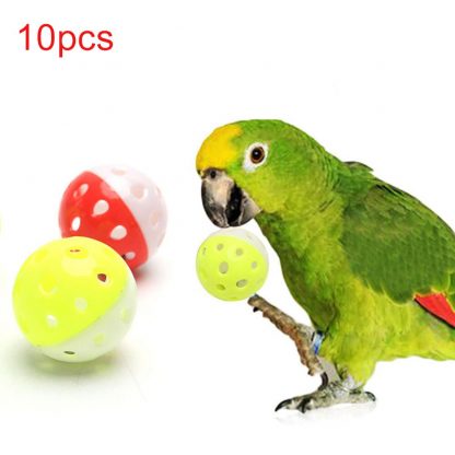 10er-Set Vogelspielzeug Bunte Bälle