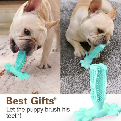 Kauspielzeug/Zahnbürste aus Gummi für den Hund