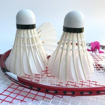 Badmintonbälle aus Gänsefeder