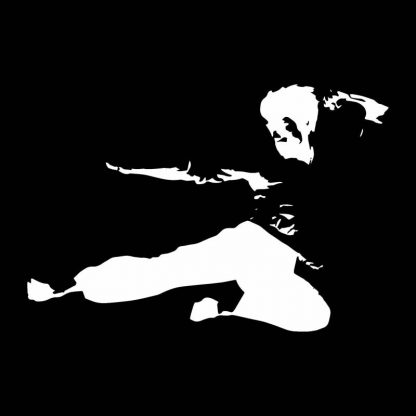Bruce Lee Aufkleber 15,5 x 10,6 cm