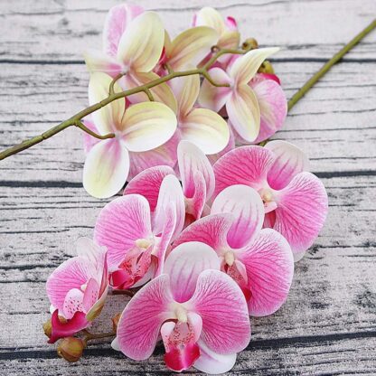 Kunstpflanzen / Orchidee