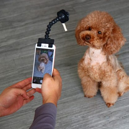 Selfie Stick für Haustiere 1