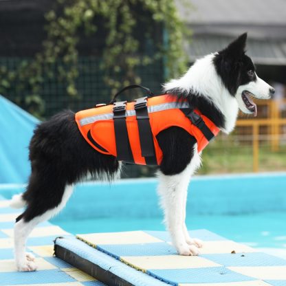 Schwimmweste für Hunde 1