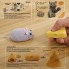Katzenspielzeug Maus mit Fernbedienung 1