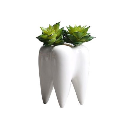 Blumentopf Zahn 4