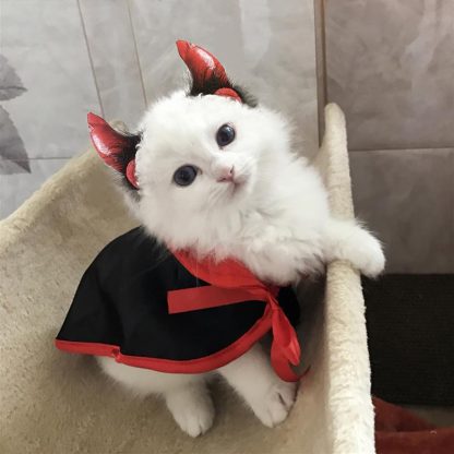 Katzenkostüm Halloween  4
