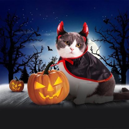 Katzenkostüm Halloween  2