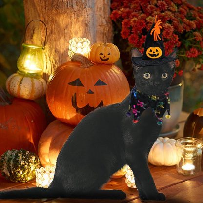 Katzenkostüm Halloween 4