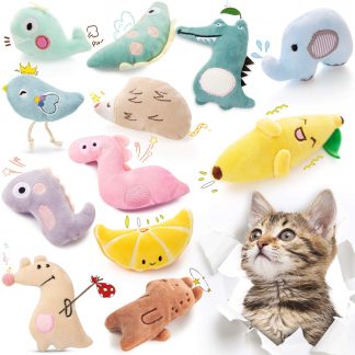 Katzenspielzeug Katzenminze 1