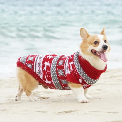 Hunde-Pullover Weihnachten 4