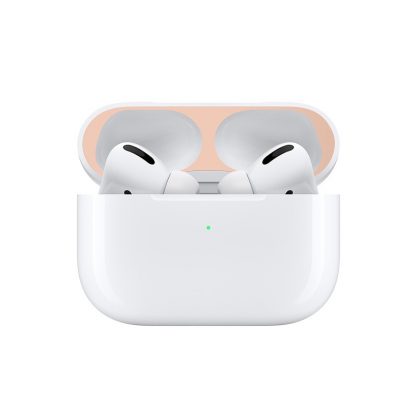 Staubschutz AirPods 2