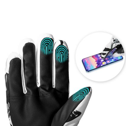 Ski Handschuhe 2