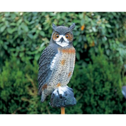 Ubbink Tierfigur große Eule 1382530 - Image 2