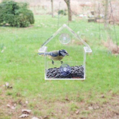 Esschert Design Vogelfutterhaus Acryl 15x10x15,3 cm FB370 - Image 2