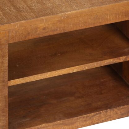 TV-Schrank 120 x 40 x 30 Mango-Massivholz - Image 6