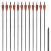 Standard Recurvebogen-Pfeile 30" 0,76 cm Karbon 12 Stück