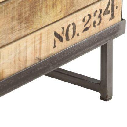 TV-Schrank 120 x 30 x 40 cm Massivholz Mango - Image 5