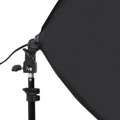 Fotostudio-Set mit Softboxen und Hintergrundsystem - Image 11