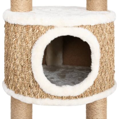 Katzen-Kratzbaum 126 cm Seegras - Image 6