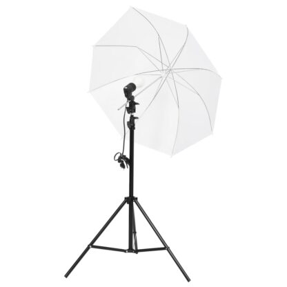 Fotostudio-Set mit Beleuchtung und Hintergrund - Image 6