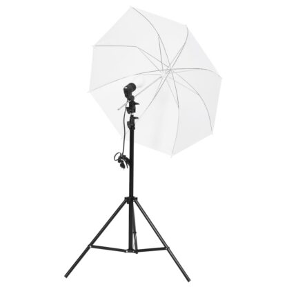 Fotostudio-Set mit Beleuchtung und Hintergrund - Image 6
