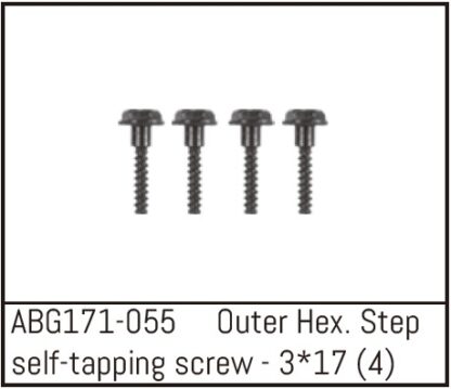 Outer Hex. Step Self-Tapping Screw M3*17 (4)