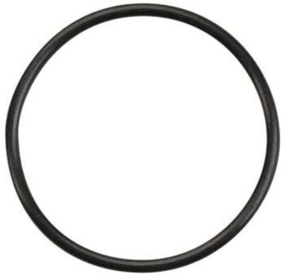 O-RING ZU DROSSEL-GEHAUSE - 29315000