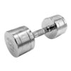 Performbetter Kurzhantel Chrom 10kg