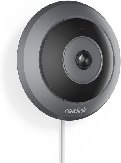 Reolink P520 - Fisheye PoE 6MP Kamera mit 360° Blick