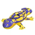 Schwimmtier Splashin' Salamander 180 x 112 cm