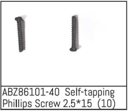 Self-tapping Phillips Screw 2.5*15 - Mini AMT (10)