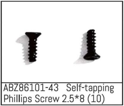 Self-tapping Phillips Screw 2.5*8 - Mini AMT (10)