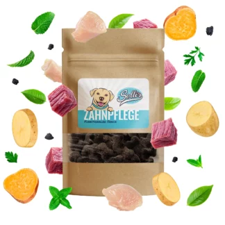 Snack Hund Snack zur Zahnpflege 80g