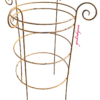 1546, Doppelte-Doppelte Freude, D 50cm