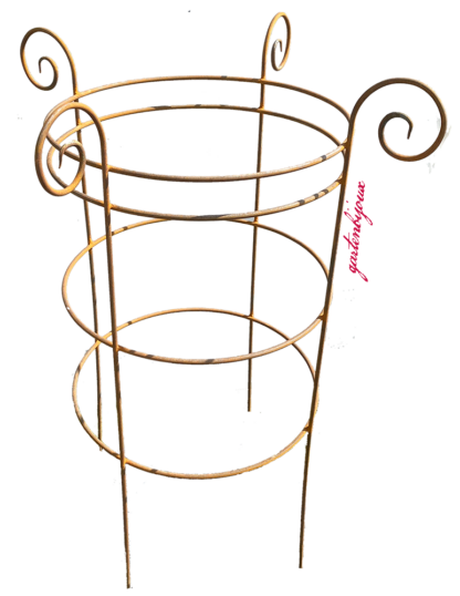 1546, Doppelte-Doppelte Freude, D 50cm