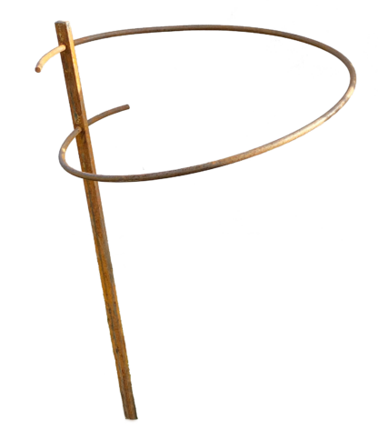 No 1556,Staudenfreund Holzbruder