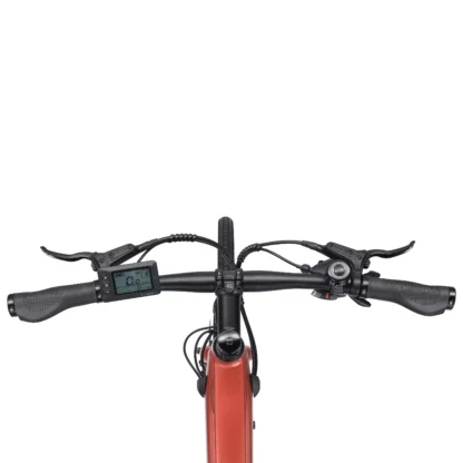 E-Bike City SIENA kupfer - Image 7