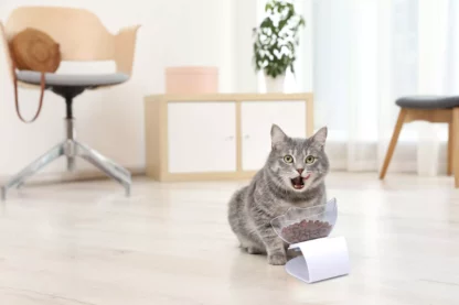 Futternapf für Katzen mit Neigung 350 ml - Image 2