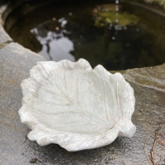 Vogeltraenk Blatt