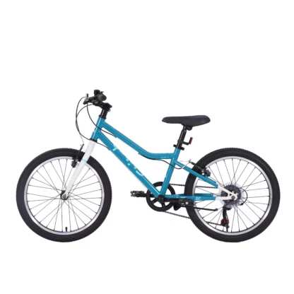 Kindervelo 20“ STARGIRL - Image 4