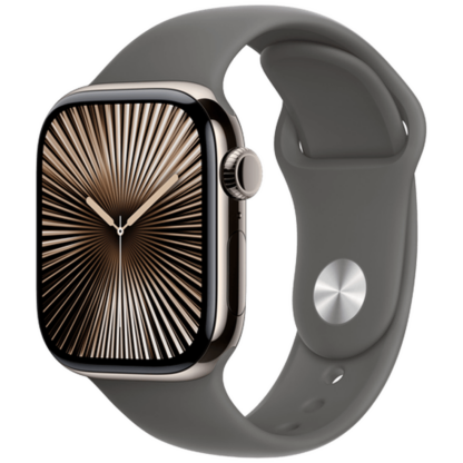 Apple Watch Series 10 4G 42mm Natural Titanium (Graues Gummi Armband M/L) - Image 2