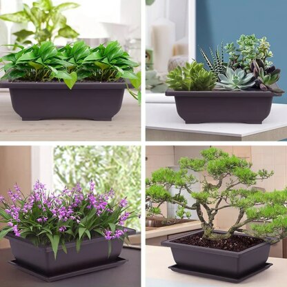 Bonsai-Topf - Image 7