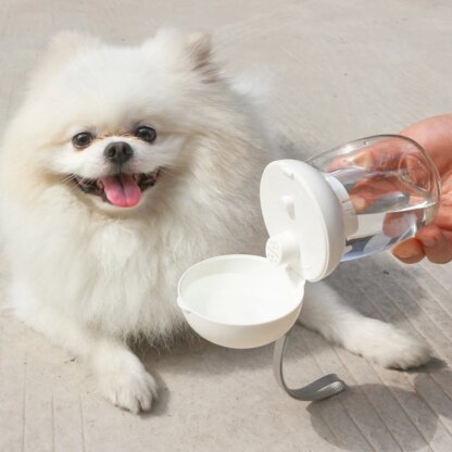 Hunde-Wasserflasche - Image 6