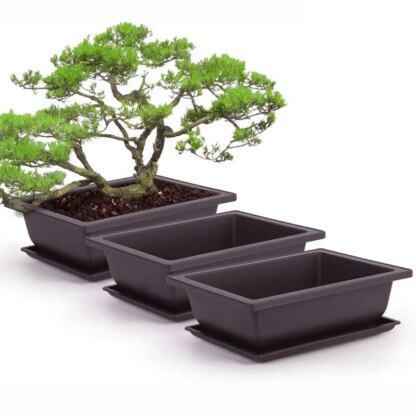 Bonsai-Topf