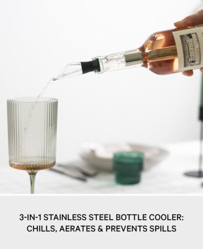 3in1 Edelstahl Flaschen Kühler Wein Dekanter und Drop Stop Ausguss, Silber - Image 3