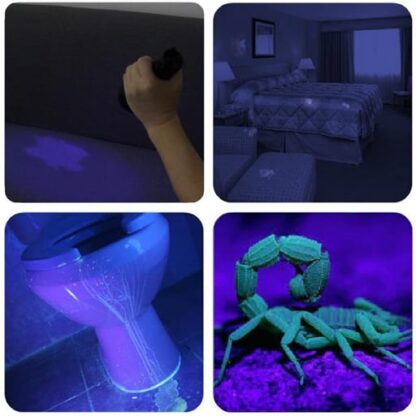 UV Schwarzlicht Taschenlampe mit Handschlaufe – Anti-Flecken, Schwarz - Image 4