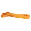Sveltus Powerband orange 9-25 kg